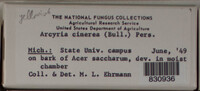 Image Associated With the Occurence